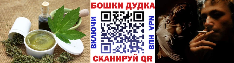 kraken онион  Новозыбков  Печенье с ТГК марихуана 