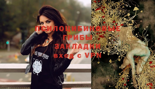 дмт Алексеевка
