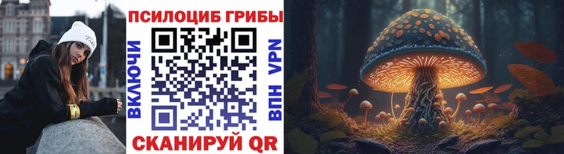 hydra зеркало  Новозыбков  Галлюциногенные грибы мухоморы 